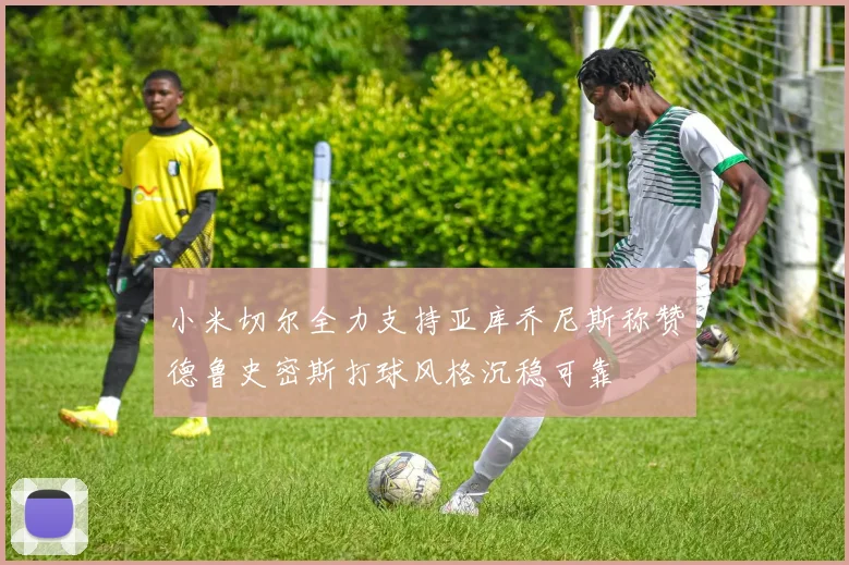 小米切尔全力支持亚库乔尼斯称赞德鲁史密斯打球风格沉稳可靠