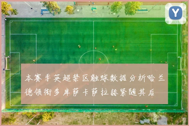 本赛季英超禁区触球数据分析哈兰德领衔多库萨卡萨拉赫紧随其后