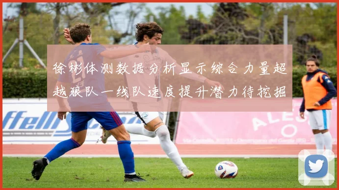 徐彬体测数据分析显示综合力量超越狼队一线队速度提升潜力待挖掘