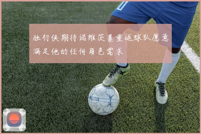 独行侠期待诺维茨基重返球队愿意满足他的任何角色需求